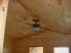 Wilson Lake Elm Ceiling Fan