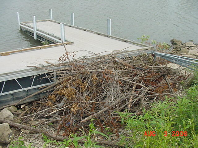 Beaver Lodge