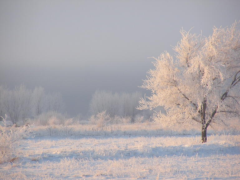Winter at Glen Elder State Park
