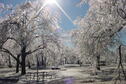 Kanopolis 2007 Ice Storm-Eagle Point in Glass