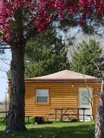 Lovewell Cabin 1