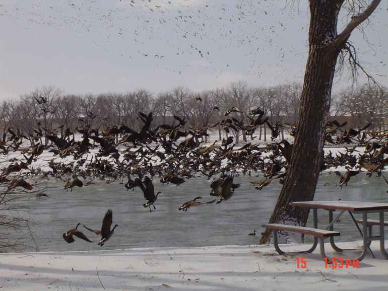 Meade State Park winter campers.