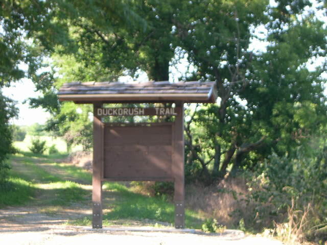 Buck Brush Trail