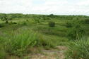 Sand Hills Trail