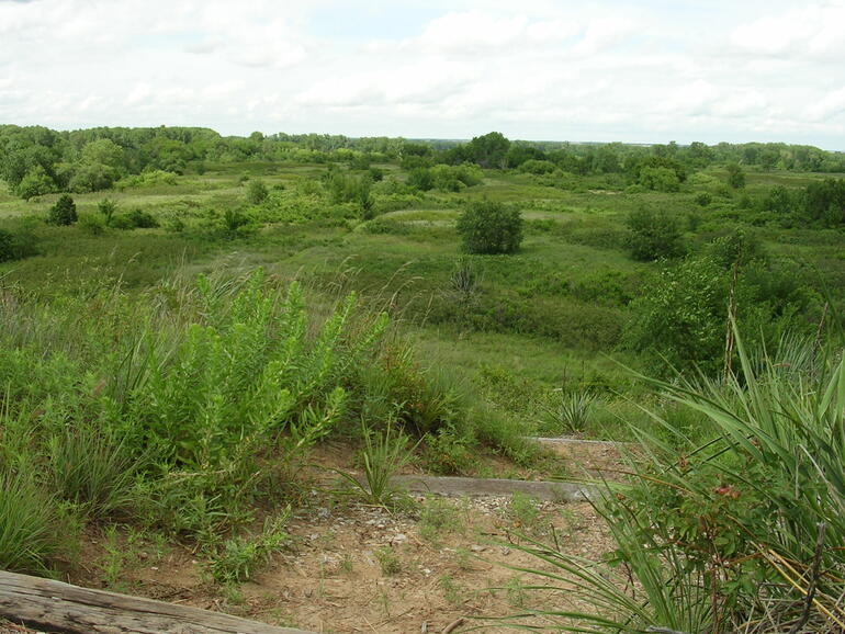 Sand Hills Trail