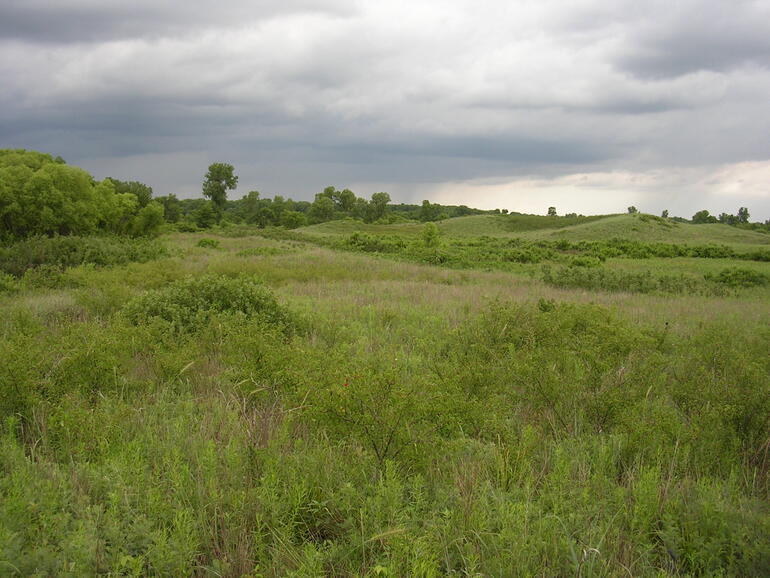 The Hills at Sand Hills