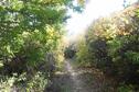 Lake Scott Hiking/Biking/Horse Trail
