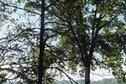 Beautiful View of River Pond