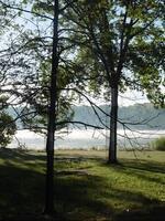 Beautiful View of River Pond