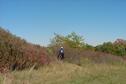 Competitive trail ride at South Randolph