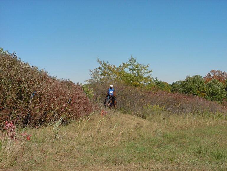 Competitive trail ride at South Randolph