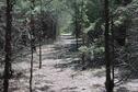 Mountain Bike Trail at Fancy Creek (Summer)